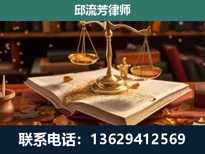 武定-刑事案件
