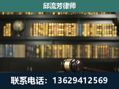 武定-刑事律师