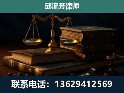 武定-刑事案件