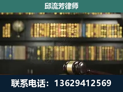 武定-刑辩律师